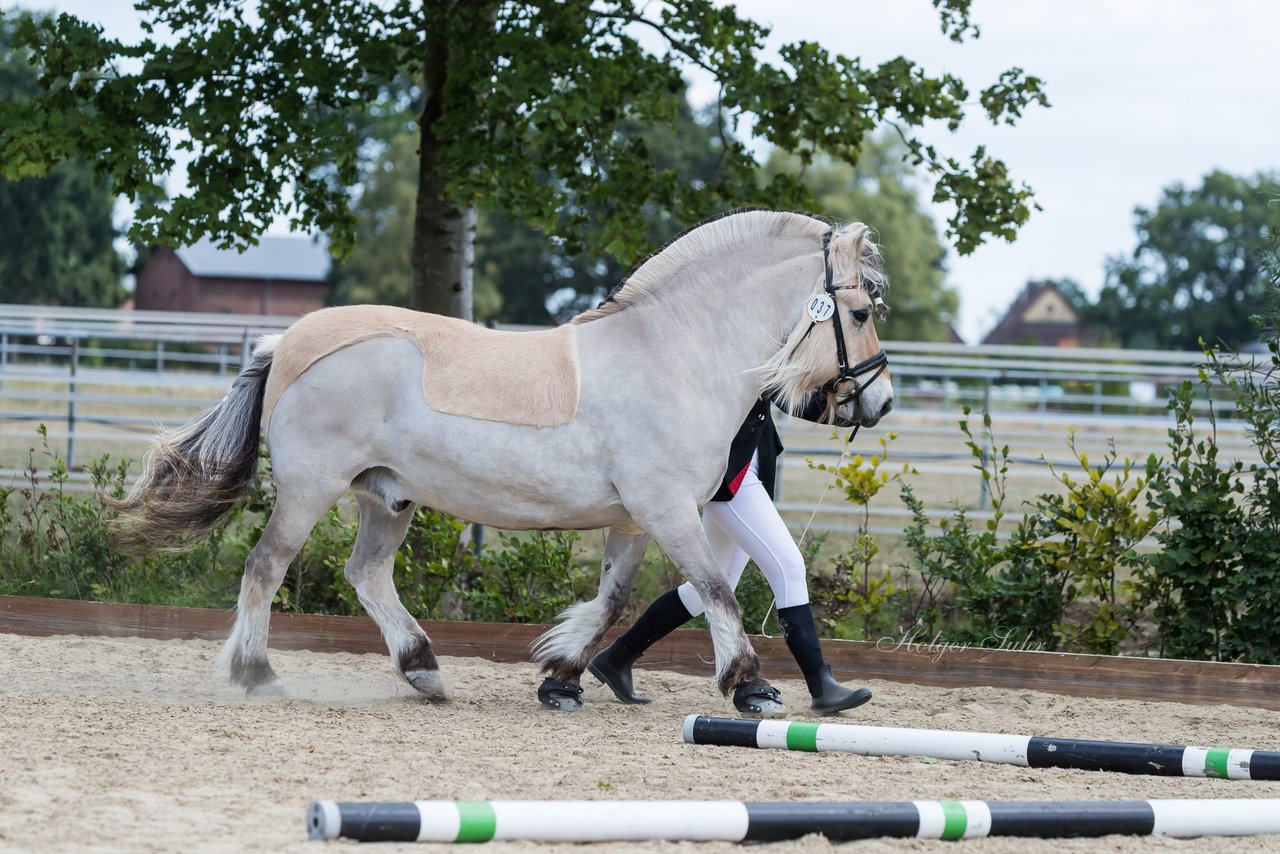 Bild 17 - Pony Akademie Turnier